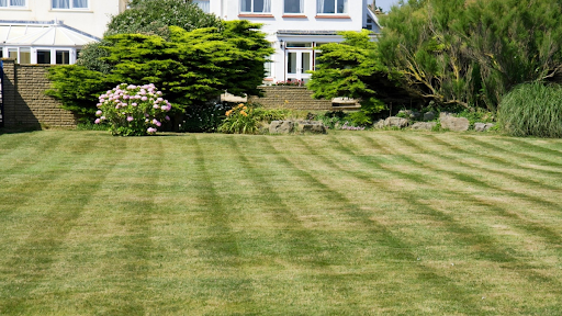 The Ultimate Guide to Maintaining a Lush Lawn in Pompano Beach