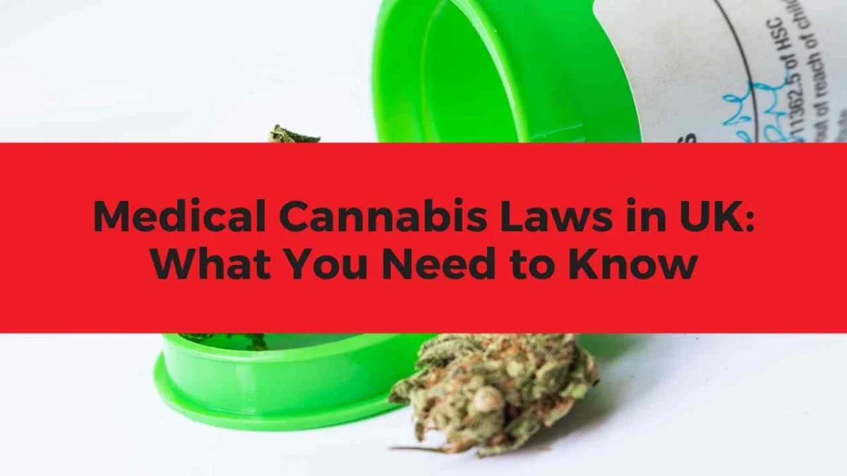 Is CBD Hash Legal in the UK? A Comprehensive Guide – Mister Vape